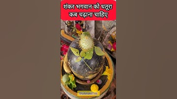 शंकर भगवान को धतूरा कब चढ़ाना चाहिए | Aaj ka upay pradeep mishra | #pradeepmishra