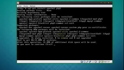 TUTORIAL KONFIGURASI DEBIAN SERVER : 4.  WEB