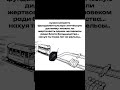 Смысла нет #shorts #warhammer40k #memes