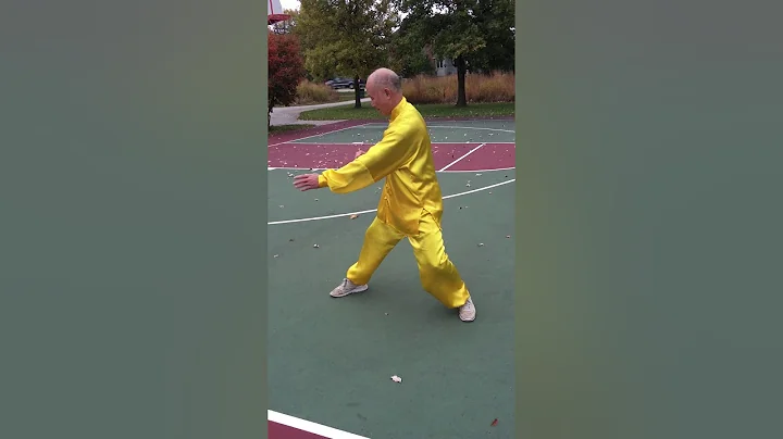 master Chung chen taichi 74 at naperville
