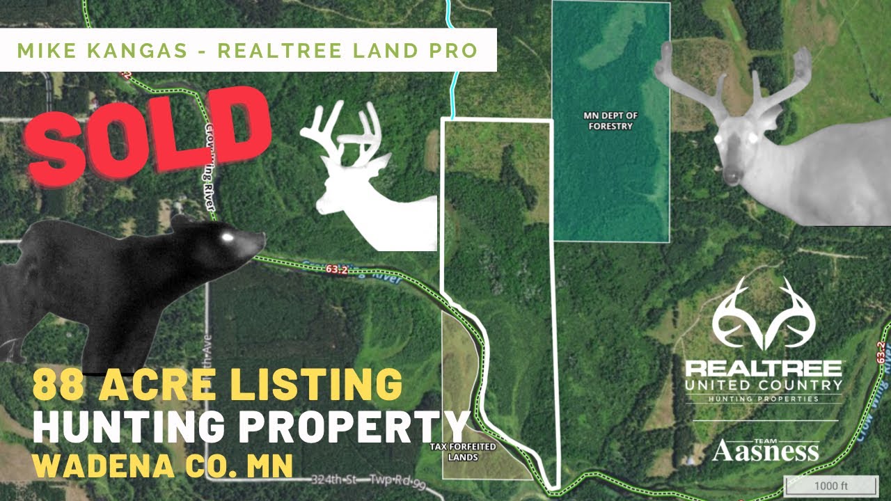 SOLD! Wadena County Minnesota Hunting Land YouTube