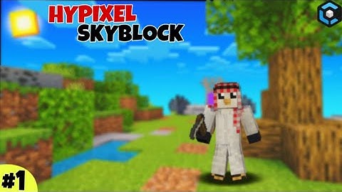 Hypixel Skyblock: A New Beginning