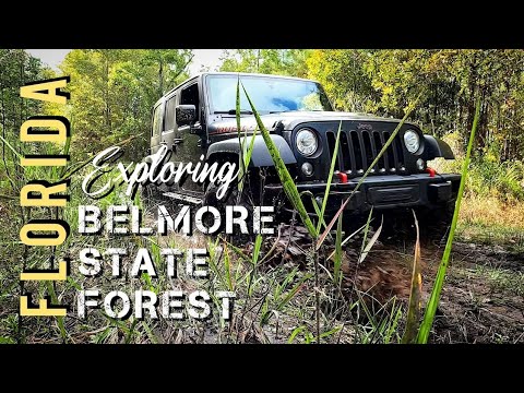 Belmore State Forest: An Easy Day Riding Trails in North Florida