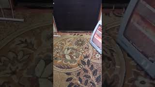 Ben Bu Dünyada Değilim Resimi