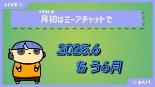 【雑談】月初はミーアチャットで【#13 あっというま６月】