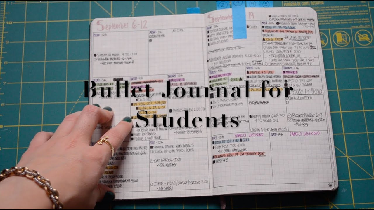 essay about tv university life example