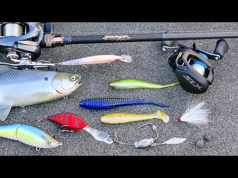 Bass Fishing Gear Review: Megabass Destroyer P5, Shimano SLX A, and  Baits!!! 