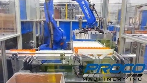 Proco Robot Case Packer 75 cc container