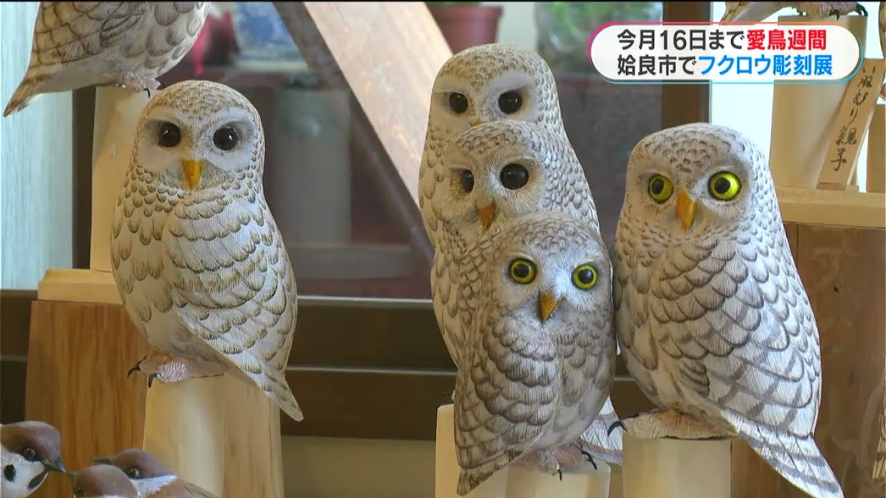 か*ん様 天然素材牙彫刻フクロウ新品 か*ん様 天然素材牙彫刻フクロウ新品