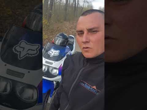 Вълк Единак - YouTube