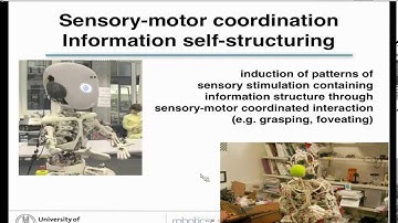 ShanghAI Lectures 2013 - Lecture 10 - How the body shapes the way we think - Principles and insights