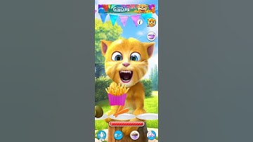 CAT VIDEOS ❤️ #shortsfeed #catfunny #funny #catvideos #CATLOVERS#funnycatvideos #TALKINGGINGIER#cat