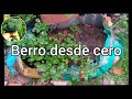 CULTIVO BERRO DE AGUA!!!!......Facil!!!!