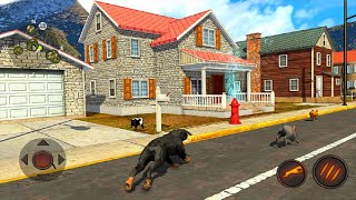 Rottweiler Dog Simulator - Dog VS Cat, Deer, Rabbit Android Gameplay #1 | Dishoomgameplay screenshot 5