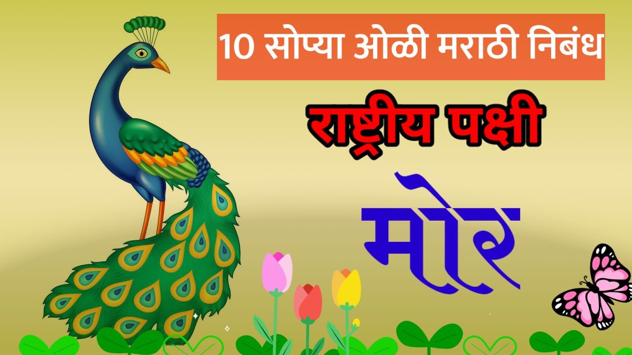 essay on peacock in marathi for class 6