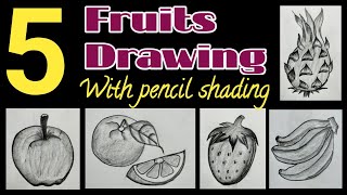 5 Different Types Fruits Drawing With Pencil Shading Art & Craft