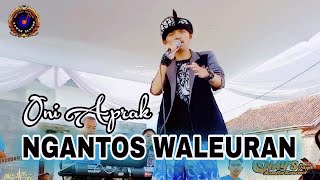 Video thumbnail of "Ngantos Waleuran - Oni aprak || Cipt.Ujang Coplox || CoverLive Panggung || Versi Bajidor"