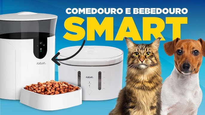 Bebedouro Alvorada Prático Auto Preto para Cães e Gatos 3l