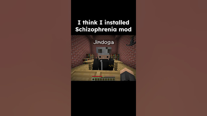 I think I installed the Schizophrenia mod