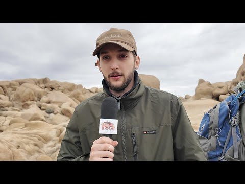 serious report in los angeles