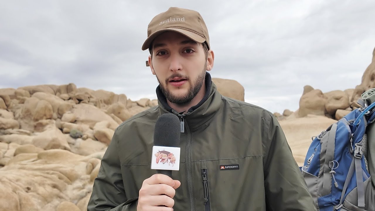 reportagem séria em los angeles