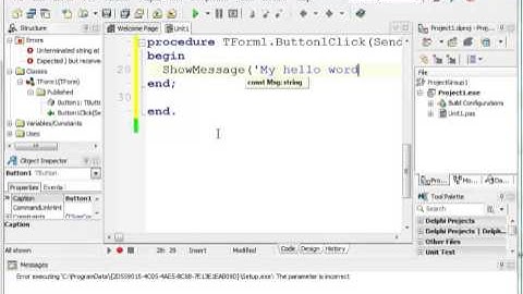 Creating your First Delphi 2010 Application [SA Delphi IT Schools]