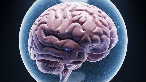 Cultivating Cognitive Reserve: A Shield Against Brain Aging