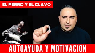 El. Perro y El Clavo Superacion Personal y Autoayuda - Motivacional en Español | Farid De Alba