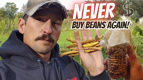 How to Save Bean Seeds | Turn $2 into Lifetime Supply