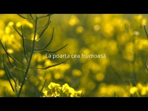 Video: Cine l-a vindecat pe bărbatul de la Poarta Frumoasă?