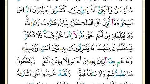 الصفحة رقم ( 16 ) من ختمة مصحف التجويد برواية حفص بصوت القارئ عبد الله بصفر