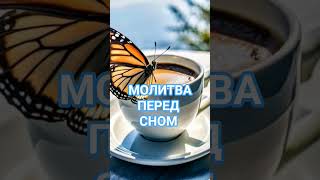 Молитва перед сном #силаслов #духовноездоровье #духовнаязащита #библейскаямудрость #духовныесоветы