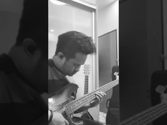 Alvin Lalela - Play That Funky Music (Bass Cover) class=