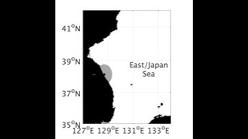 Lagrangian Particle Tracking