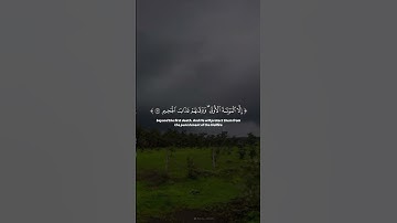 #المصحف #قران_كريم #تلاوة_خاشعة #راحة_نفسية