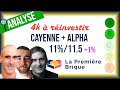  analyse projet   lapremierebrique  le cayenne et lalpha