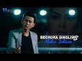 Alisher Zokirov - Bechora singlim 3 | Алишер Зокиров - Бечора синглим 3