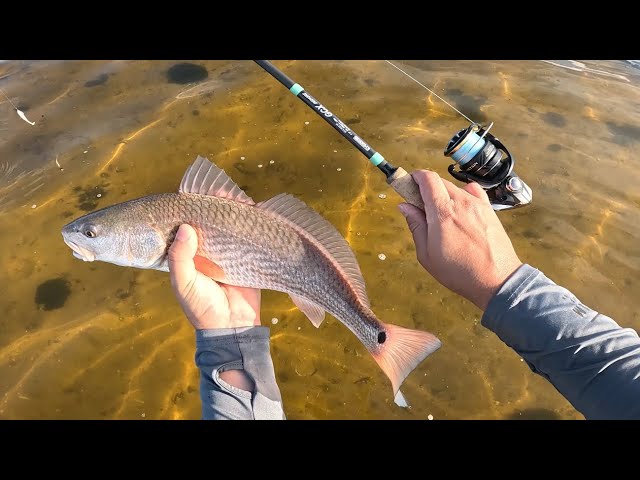 RTS (Redfish, Trout, & Snook) + Extreme Heartbreak 💔 