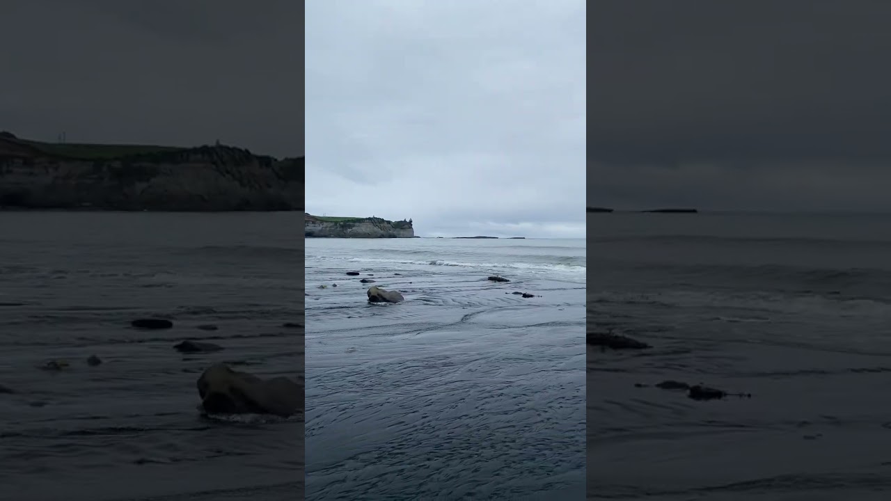 White Cliffs Walkway - High tide