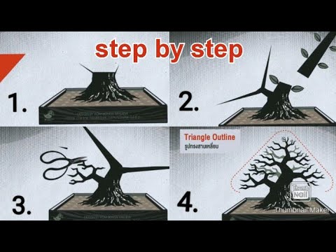 How to make a Bonsai step by step ( Animation ) for Beginners | 100% successful
