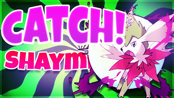 Guide To Catching SHAYMIN! in Pokémon Brick Bronze FAST! - ROBLOX 2024