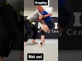 grappling boys and girls #jiujitsu #mma #combatsports #usa #wrestling