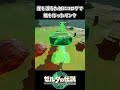 【ティアキン】崖を渡るためのコログ橋を作ったリンク【ゼルダの伝説 ティアーズ オブ ザ キングダム】