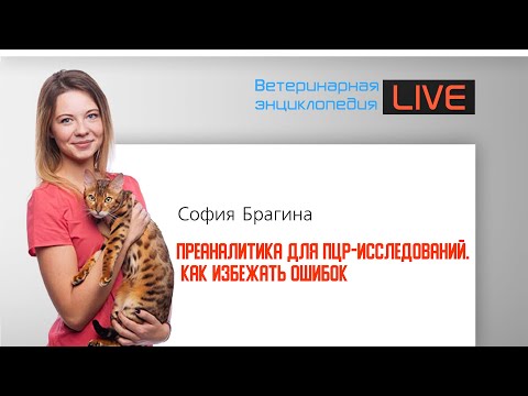 Видео: Как се извършва перколационен тест?