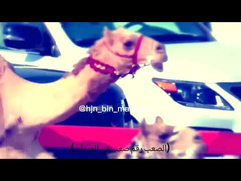 تصميم عل راهيه ل سعادة محمد سلطان مطر بن مرخان الكتبي