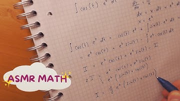 Your math tutor helps you with integrals 📚 || ASMR