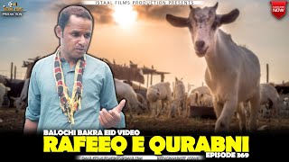 Rafeeq E Qurbani | Balochi Bakra Eid Video | Episode 369 | 2023
