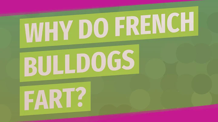 Why do French bulldogs fart?