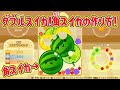 ダブルスイカ達成!角スイカの作り方を実況解説します!【スイカゲーム】