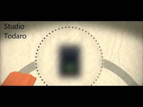 La Maculopatia di tipo Essudativo e di tipo Secco Wet and Dry AMD